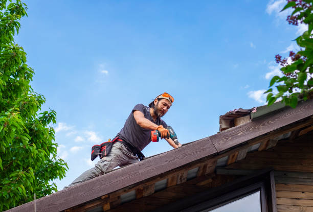 Best Roof Insulation Installation  in Port Carbon, PA